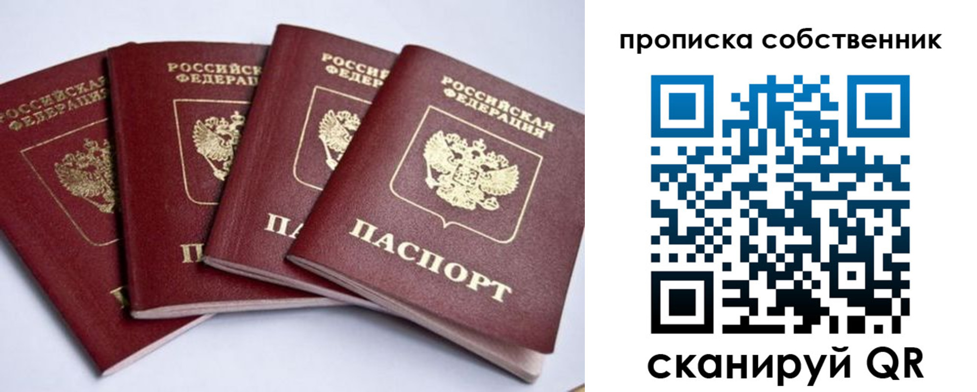 прописка для школы в Острове